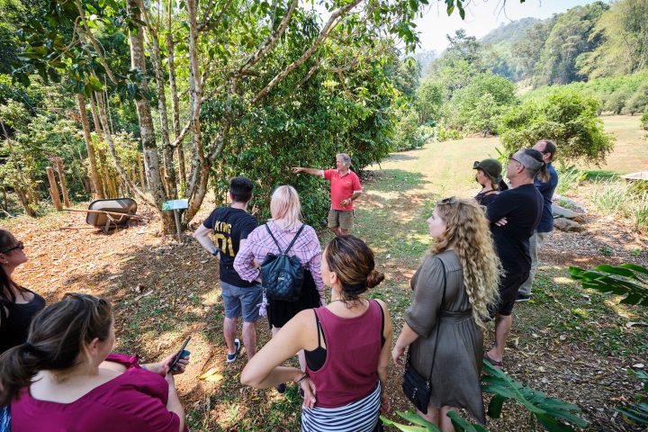 a group of people standing in a garden