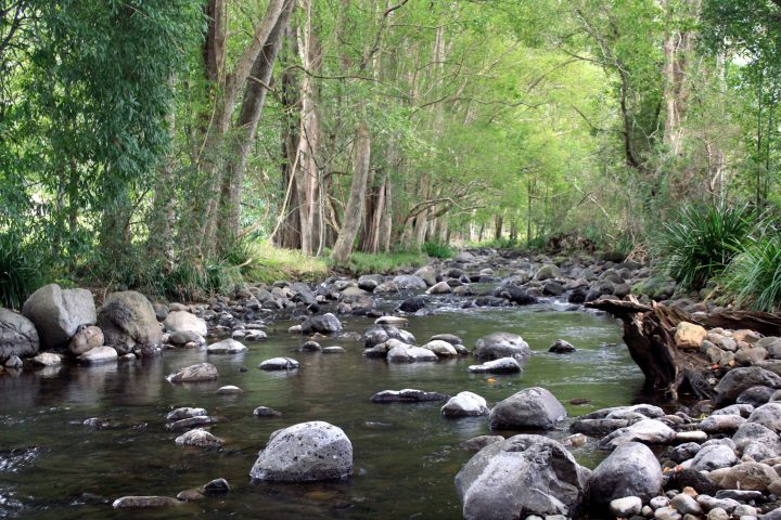 water next to the rock