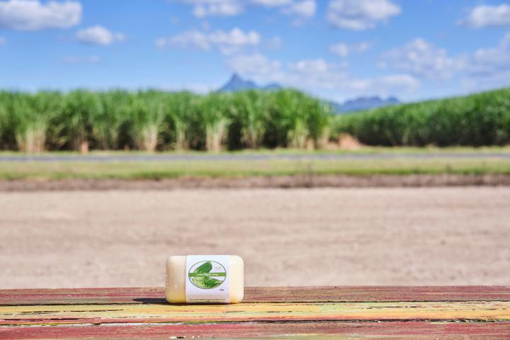 a person sitting on a beach