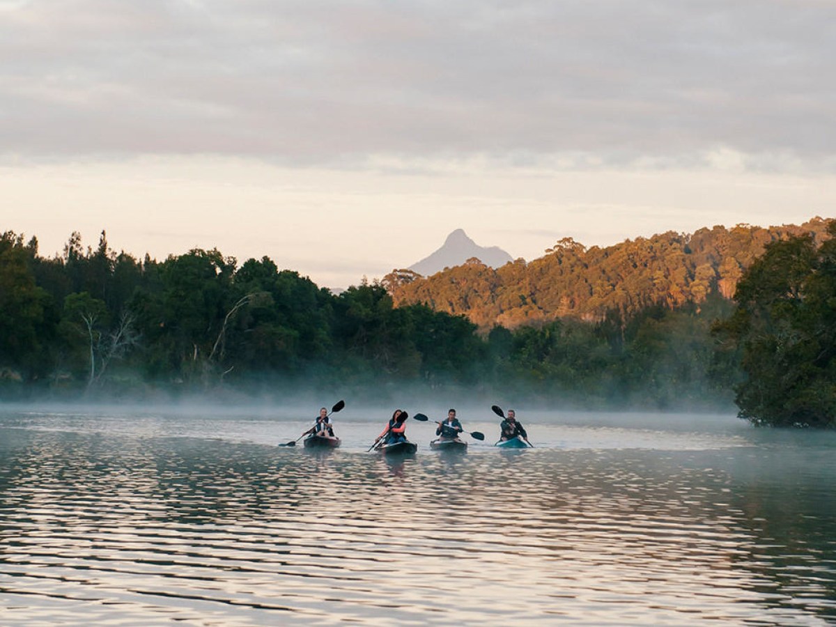 a group of people swimming in a body of water
