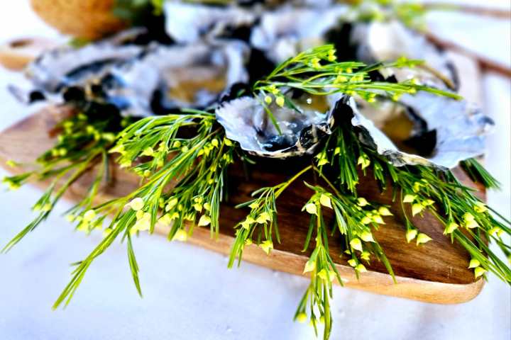 a close up of food on a table