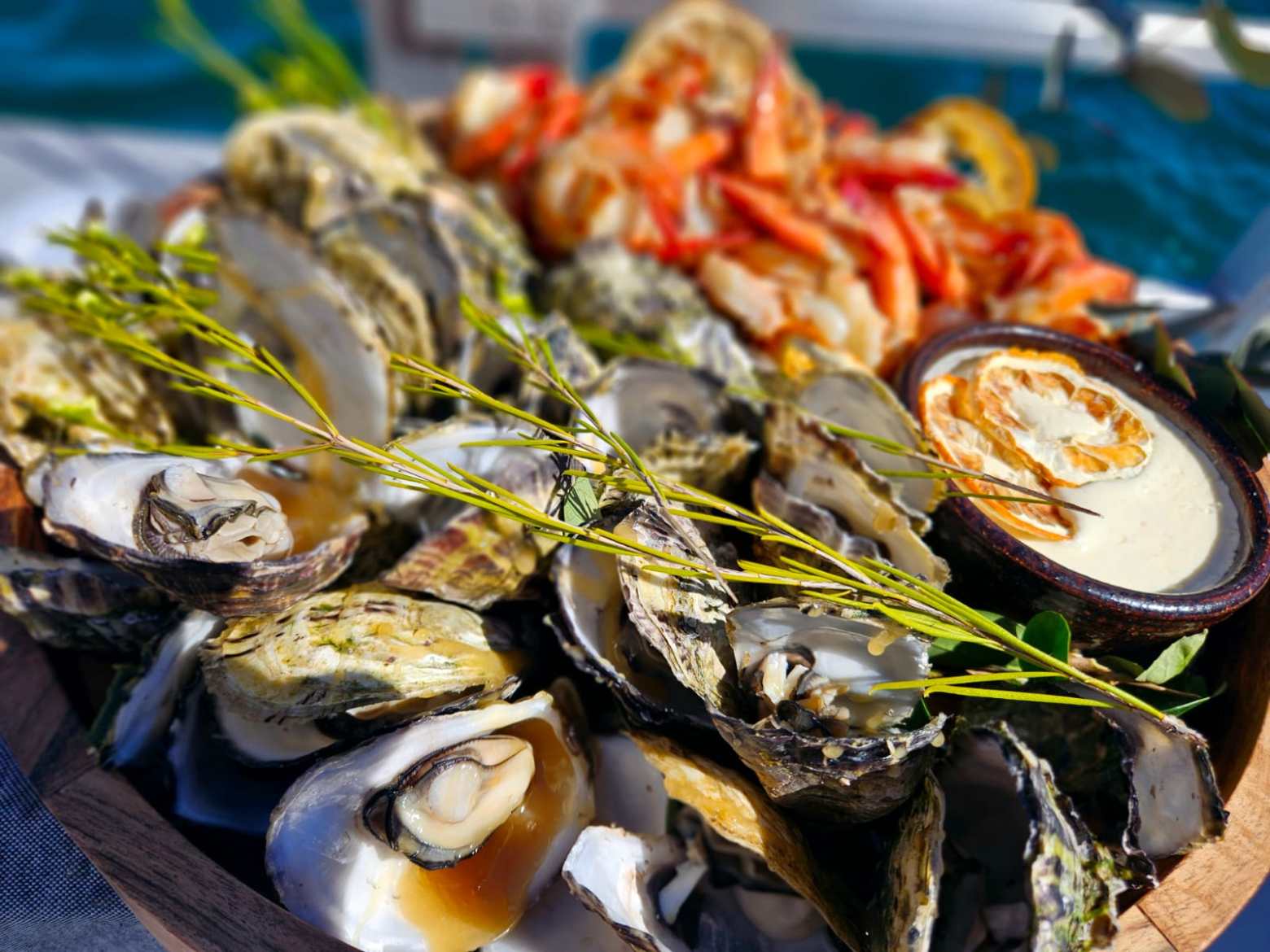Platter of oysters and prawns with herbs and sauce bowl on display.