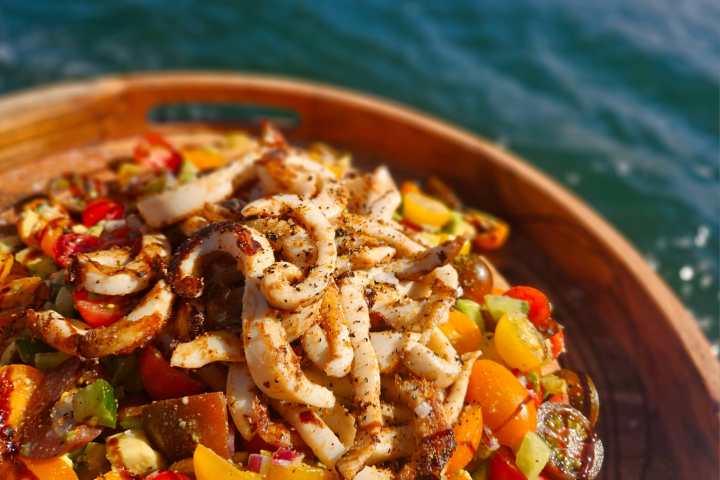 Grilled calamari on a colorful vegetable salad by the sea.
