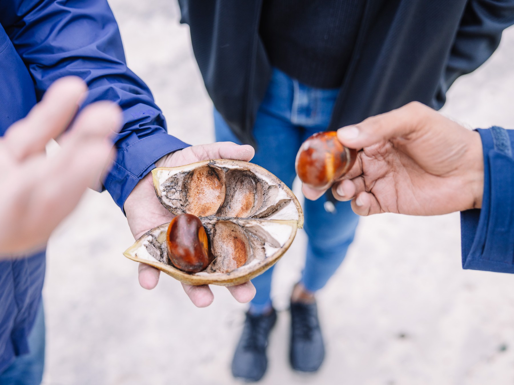 a hand holding a blue plate